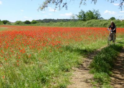 Fietsroute langs het meer